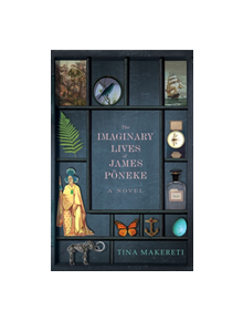 The Imaginary Lives of James Poneke - 9781785631528
