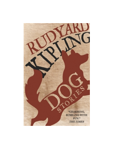 Dog Stories - 9781847493972