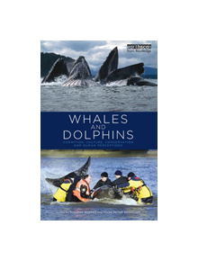 Whales and Dolphins - 9781849712248
