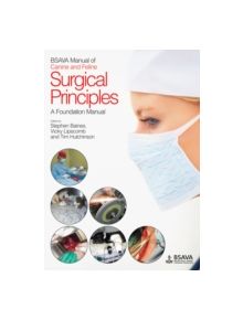 BSAVA Manual of Canine and Feline Surgical Principles - 9781905319251