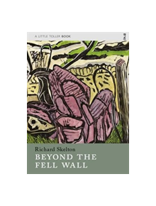 Beyond the Fell Wall - 9781908213587