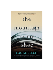 The Mountain in my Shoe - 9781910633397