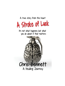 A Stroke of Luck - 9781912256709