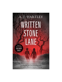 Written Stone Lane - 9781912979073