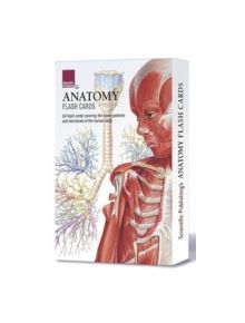 Anatomy Flash Cards - 9781935612278