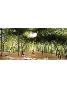 Nature: Collaborations in Design - 9781942303237