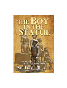 The Boy in the Statue - 9781999764623