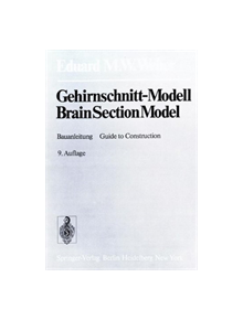 Gehirnschnitt-Modell / Brain Section Model - 9783642477577