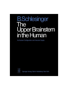 The Upper Brainstem in the Human - 9783642662577