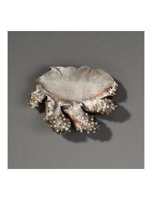 Jewelry of Ideas - 9783897905122