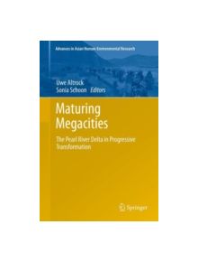 Maturing Megacities - 9789400766730
