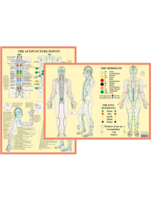 Meridians and 5 Elements - 9789491974137