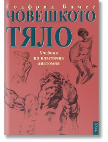 Корица на книгата на български език със скици на човешки фигури и заглавие "Човешкото тяло. Учебник по пластична анатомия" - учебник по изобразително изкуство и пластична анатомия за художници от Годфрид Бамес. Подзаглавие: Учебник по пластична анатомия.