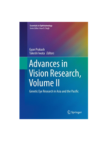 Advances in Vision Research, Volume II - 9789811308833
