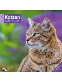 Стенен календар Ackermann Cats 2026 – Котки - Ackermann - Ackermann - Жена, Мъж - Ackermann - Art12 - 9783838446202