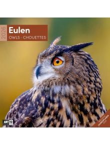 Стенен календар Ackermann Owls 2026 – Бухали - Ackermann - Ackermann - Жена, Мъж - Ackermann - Art12 - 9783838446240