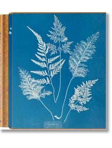 Анна Аткинс, Цианотипи: Отпечатък на деликатни листа от папрат на син фон със сложни бели шарки на листата и слаб ръкописен етикет, вдъхновен от ботаническата фотография на Анна Аткинс.