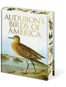 Колекционерското издание с твърди корици, "Птиците на Америка" на Одюбон (Arcturus Epic Classics), има корица с илюстрирана птица до вода и пейзаж, както и илюстрации на птици на гръбнака и ръба, в чест на емблематичното произведение на Джон Джеймс Одюбон