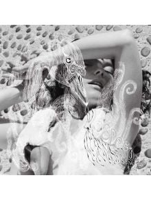 Жена лежи върху камъчета с една ръка върху челото си. Върху нея е нанесена бяла, сложна рисунка на птица и вихри. Сред рисунките се появяват думите "Bjork - Vespertine (2 VINYL)", вдъхновени от студийния албум на Бьорк.