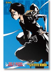 На корицата на „Bleach“ (издание „3 в 1“), том 18, на син фон е изобразен аниме герой с къса коса, облечен в черно, с превръзка на окото, който излъчва хладнокръвното присъствие на „Смъртоносен жътвар“. На корицата също така е посочен Тите Кубо като автор