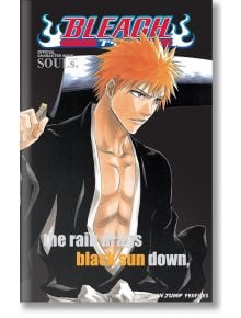 Bleach SOULs. Official Character Book