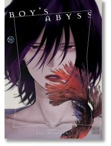 На корицата на „Boy's Abyss“, том 13 е изобразен герой с дълга тъмна коса и пронизващ поглед, частично скрит зад впечатляващ червено-кафяв предмет, наподобяващ ветрило. Заглавието „Boy's Abyss“ и името на автора Рьо Миненами са изписани на видно място. То