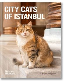 Пухкава бяла котка седи на каменна стълба пред богато украсени колони на корицата на "Градските котки на Истанбул" - фотокнига, в която се изследва очарованието на котките в турската култура.