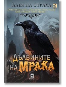 Корица на "Дълбините на мрака" с голям черен гарван отпред, руини от готически замък, мистично синьо-оранжево осветление - перфектен избор за феновете на хорър жанра.
