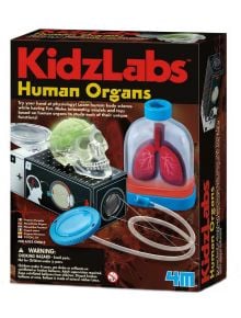 Детска лаборатория 4M - Човешките органи - 4M - 4M - Момиче, Момче - 4M - Kids Labs - 4893156033741