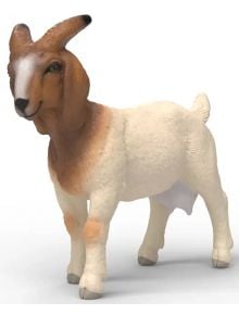Фигурка Schleich: Бурска коза с кафява и бяла козина, малки рога, къса опашка и детайлно лице, изправена на четири крака върху бял фон.