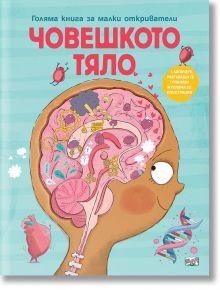 Голяма книга за малки откриватели: Човешкото тяло - Аня Деломберт - Момиче, Момче - Фют - 3800083836216