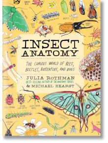 Корицата на "Анатомия на насекомите" представя цветни илюстрации на бръмбари, пеперуди, пчели, гнездо на оси и показва заглавието заедно с имената на авторите Джулия Ротман и Майкъл Хърст.