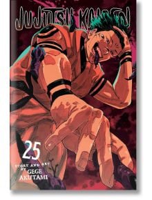Jujutsu Kaisen, Vol. 25 - Gege Akutami - Момче - Viz Media - 9781974751884