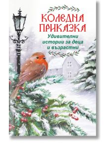 Робин каца на заснежен бор с червени плодове и снежинки. Зад него се виждат стълб на лампа, борове и къщи. На изображението е изписан българският текст "Коледна приказка - Удивителни истории за деца и възрастни.