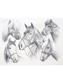 Комплект за лесно рисуване на графика Oasis, коне - 7540 - 780804490022