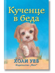 На корицата на книгата "Кученце в беда" е изобразено тъжно кученце с превързана лапа върху пясък. Заглавието е изписано с големи жълти букви на кирилица отгоре, а в долната част има илюстрирани картички на природна тематика и името на автора - Холи Уеб.