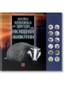 Малка книжка със звуци на нощни животни - Андреа Пинингтън, Каз Бъкингам - Момиче, Момче - Изток-Запад - 9786190114840