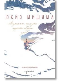 Корицата на книгата е с абстрактни сини и бели вълни, малък фар край морето, текст на български език: отгоре "Юкио Мишима", отдолу заглавие "Морякът, комуто морето обърна гръб - ново издание", емблема на японската литература и издателство "Ентусиаст".