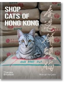 Сива котка си почива върху пакети пред кафяви торби. Показана е книгата "Shop Cats of Hong Kong" - идеална за почитателите на фотографията на котки и котките от хонконгските магазини, с творчеството на Марсел Хейнен, издадена от Thames & Hudson.