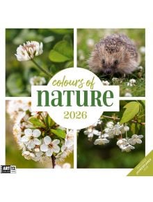 Стенен календар Ackermann Colours of Nature 2026 – Цветове от природата - Ackermann - Ackermann - Жена, Мъж - Ackermann - Art12 - 9783838446011