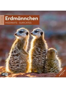 Стенен календар Ackermann Meerkats 2026 – Сурикати - Ackermann - Ackermann - Жена, Мъж - Ackermann - Art12 - 9783838446325