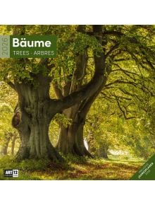 Стенен календар Ackermann Trees 2026 – Дървета - Ackermann - Ackermann - Жена, Мъж - Ackermann - Art12 - 9783838446127