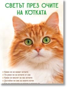Близък план на оранжево-бяла пухкава котка със зелени очи, която гледа напред. Над главата ѝ е изписано заглавието "Светът през очите на котката", а отдолу са изписани точки на български език за котките и котешката психология от тяхната гледна точка.