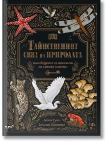 Корицата на книгата е със златна и черна орнаментирана рамка с природни илюстрации. Озаглавена "Тайнственият свят на природата: пътеводител от миналото на нашата планета", тя е визуално богат пътеводител за миналото на Земята.