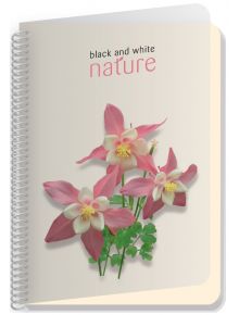 Тетрадка Black & White Nature A5 със спирала и 4 теми, 180 листа - широки редове - Black & White - Black & White - Момиче - 3800099412459