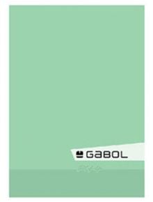 Светлозелена папка Gabol A5 с логото и името на марката в черно и бяло в долния десен ъгъл. Минималният ѝ, модерен дизайн се съчетава перфектно с ученическа тетрадка Gabol A5 с 40 листа на широки редове.