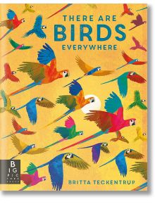 There Are Birds Everywhere - Camilla de la Bedoyere - Момиче, Момче - Bonnier Books - 9781800786585