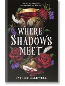Where Shadows Meet - Patrice Caldwell - Момиче - Bonnier Books - 9781471411861