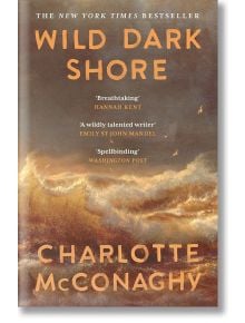 Корица на книгата Wild Dark Shore, на която са изобразени бурни вълни на фона на отдалечен остров под тъмно небе. С бял текст са изписани одобренията на Хана Кент, Емили Сейнт Джон Мандел и The Washington Post.