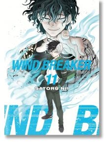 Wind Breaker, Vol. 11 - Satoru Nii - Момче - Kodansha Comics - 9781646519583